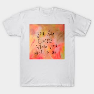 You are exactly where you need to be T-Shirt